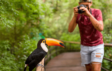 Pontos Turísticos Loumar Turismo