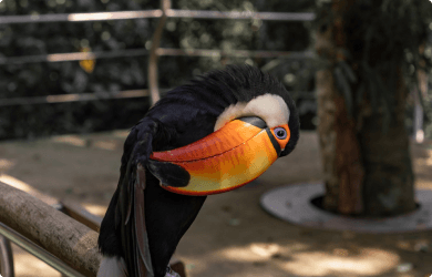 Pontos Turísticos Loumar Turismo