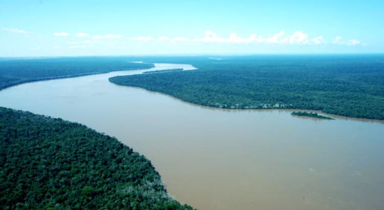 Tour por Foz do Iguaçu
