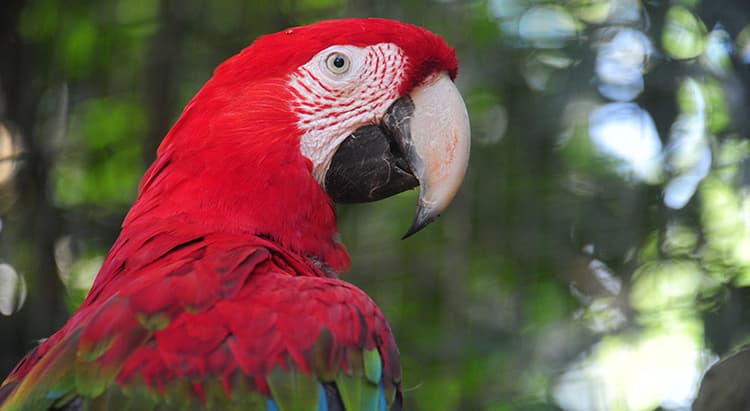 Tour por Foz do Iguaçu