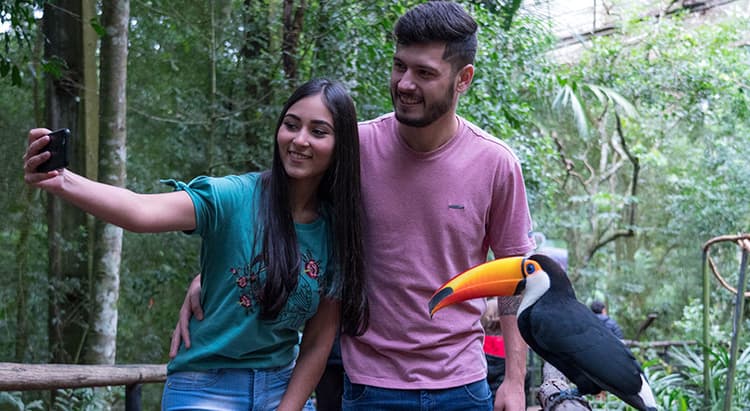 Tour por Foz do Iguaçu