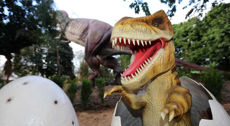 Tour por Foz do Iguaçu