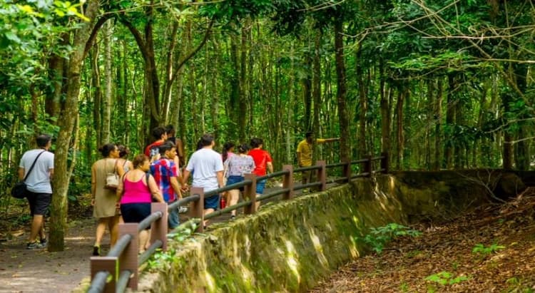 Tour por Foz do Iguaçu