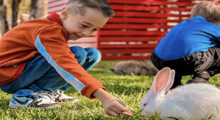 Tour por Foz do Iguaçu