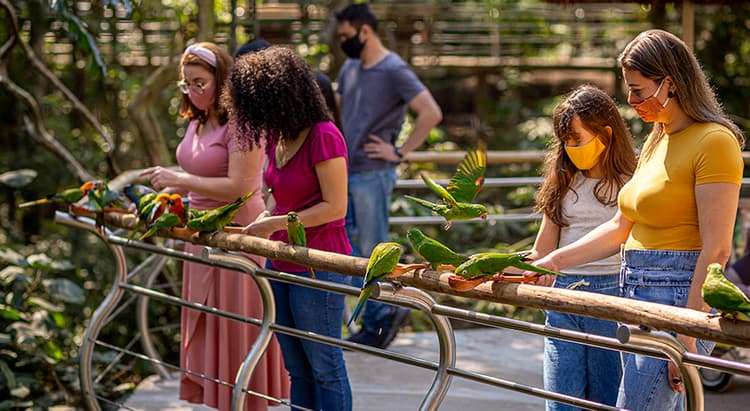 Tour por Foz do Iguaçu