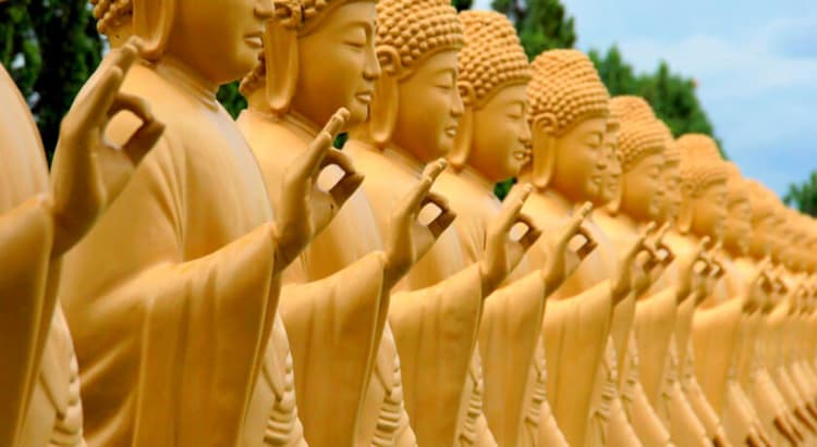 Tour por Foz do Iguaçu