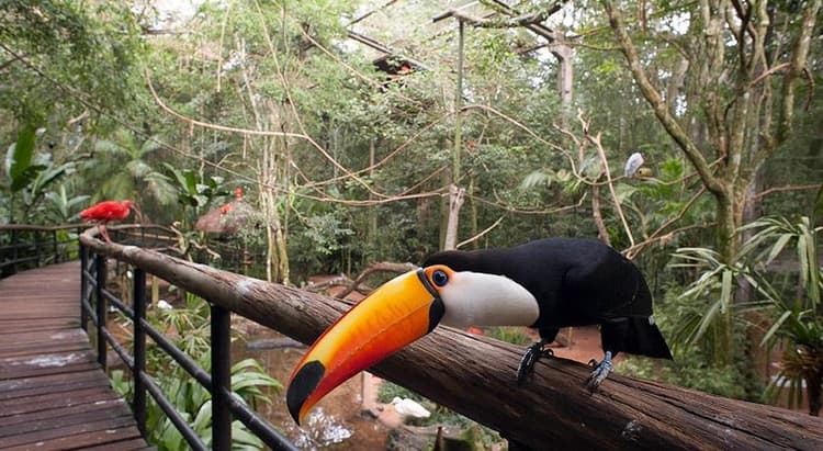 Tour por Foz do Iguaçu