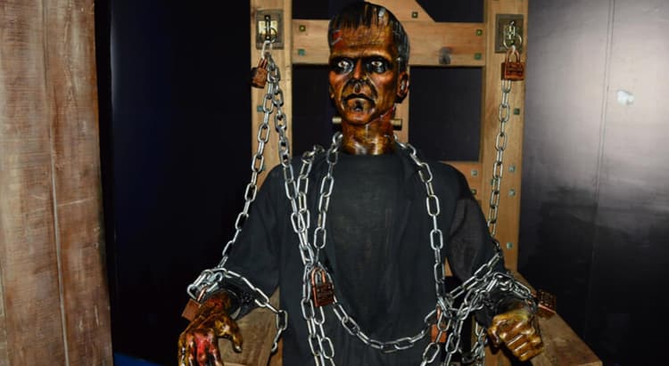 Tour por Foz do Iguaçu