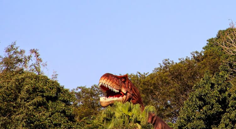 Tour por Foz do Iguaçu