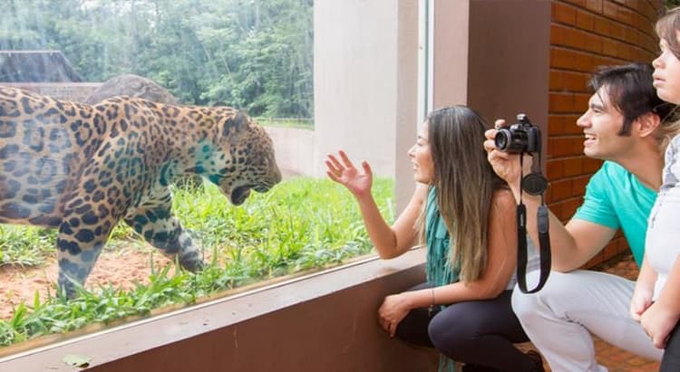 Tour por Foz do Iguaçu