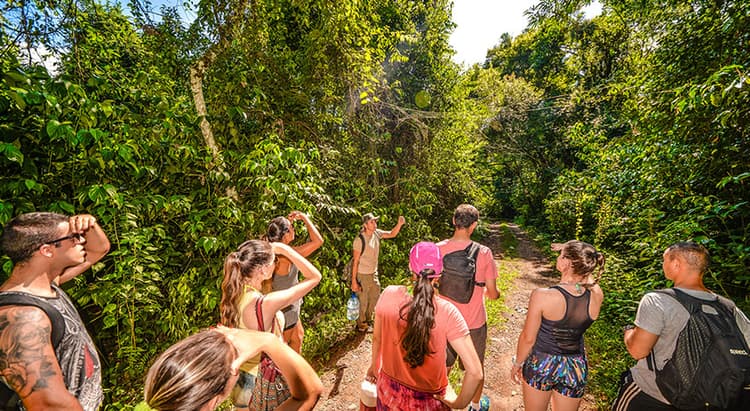 Tour por Foz do Iguaçu