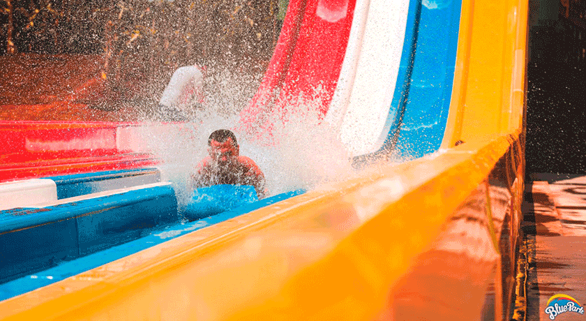 Tour por Foz do Iguaçu