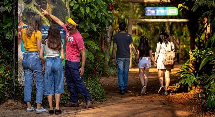 Tour por Foz do Iguaçu
